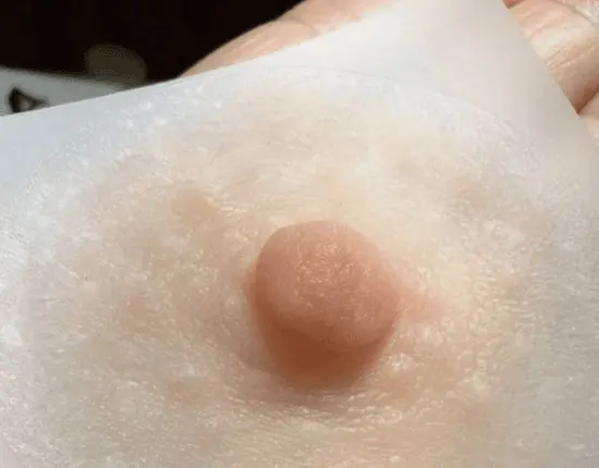 Areola y pezón
